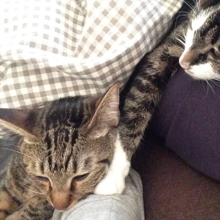 Af7c14ec 9313 4e73 9d1b 27e19edda15a 1514059432924