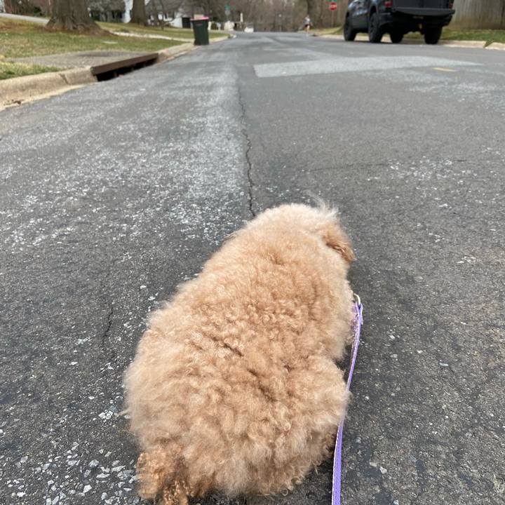 Af7c2d87 0a88 41ec 8225 644e425d1ec3 1676942478906