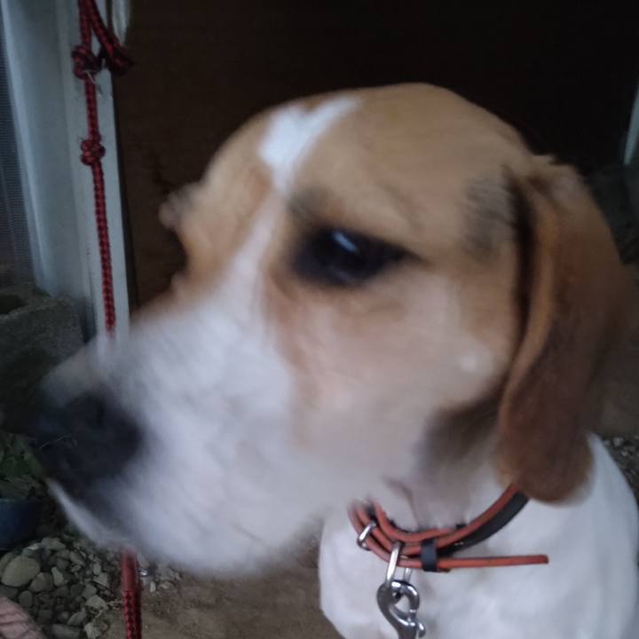 Af7ccf32 ef60 4cb3 a789 b1625a49c504 1633770361864