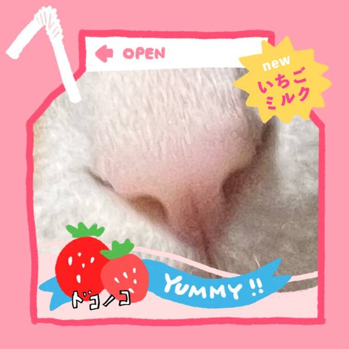 Af7d0761 57b6 4db9 b77d 0f42383162a6 1710990626611