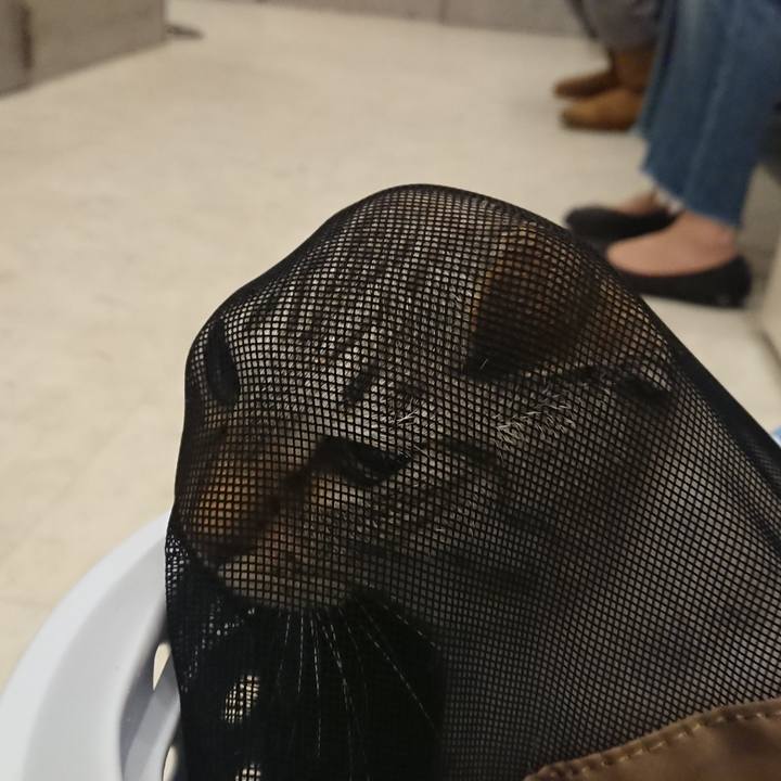 Af7d0f81 b82b 4164 bcff 8f259b37d3a6 1518608620584