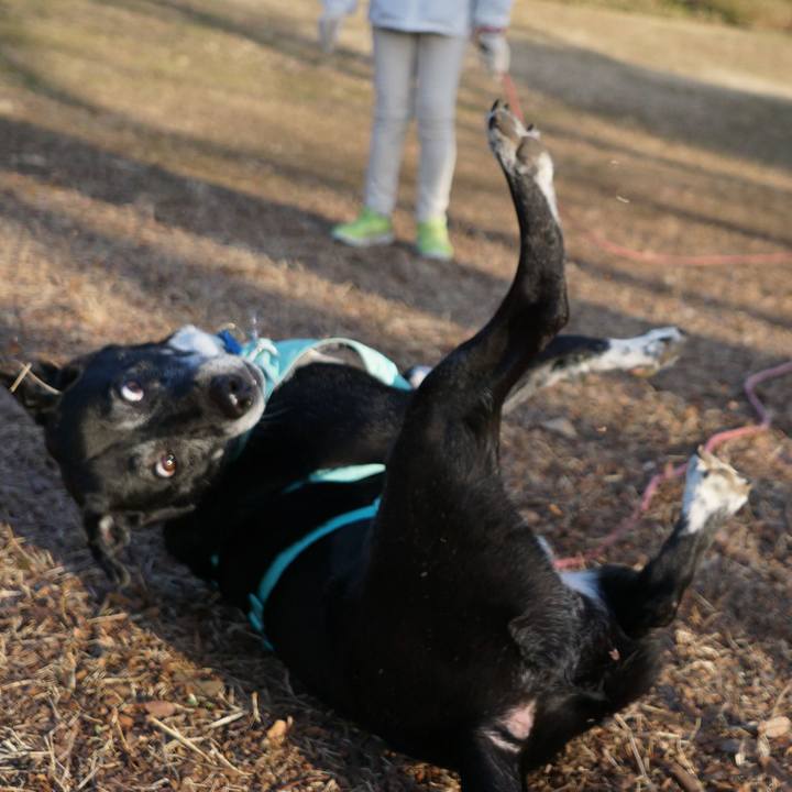 Af7d3512 e1ba 4c5b 82d5 606139175268 1771807284200