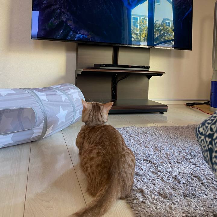 Af7d7c84 e994 423f 8a62 e5aac423781d 1648335708348