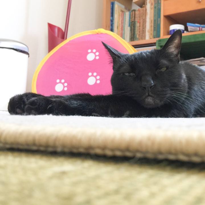 Af7d896d fde0 447a a260 644a78ba1dd8 1587791363572