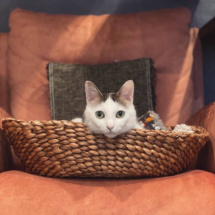 Af7d8ba7 23f9 4191 aed8 c8df37bc7e0e 1587807560884