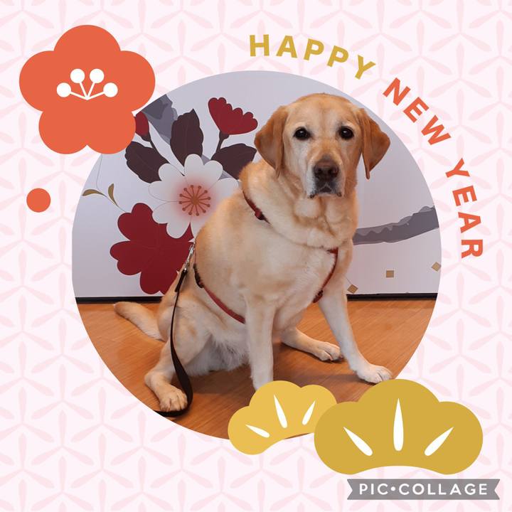 Af7dd204 d7e5 4de4 aaa8 a0bfe0acf659 1641110655741