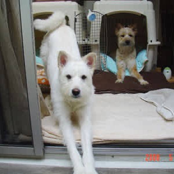 Af7de07f 4f10 4272 ad0d 6137bd777ac9 1773623156770