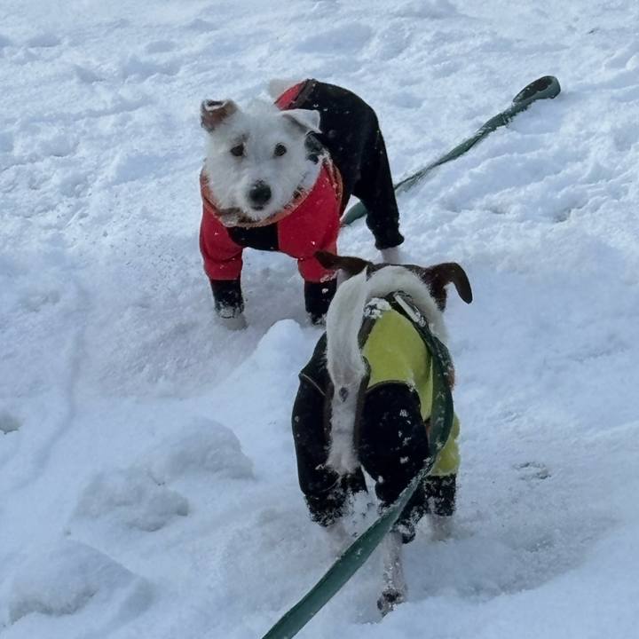 Af7df28a 9503 4e8f a9de 9cc69c3ba146 1769332978276