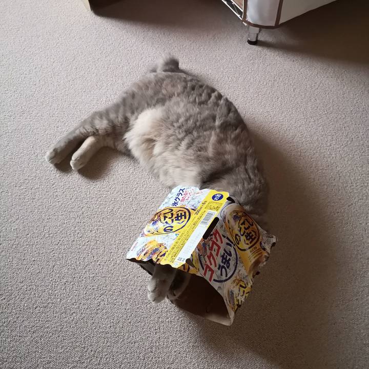 Af7e096d f06a 497e b3ad a977447635c7 1569210941508