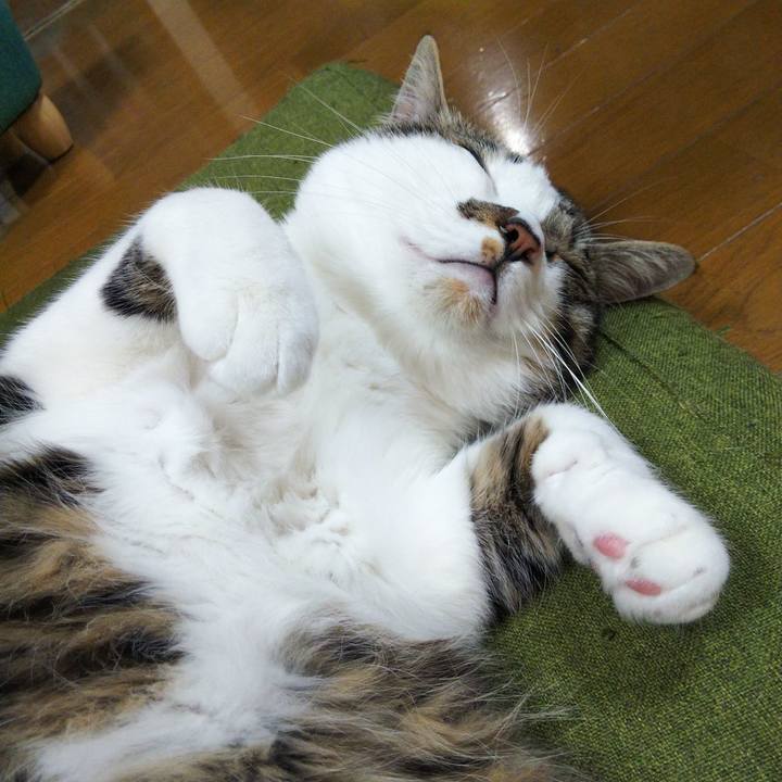 Af7e33e2 fbce 4b9e b044 0af4da00da57 1650455129387