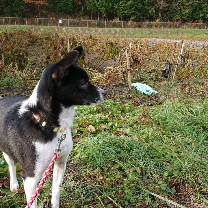 Af7e3df9 86a6 4cc4 80d0 bac180276b88 1575164466109