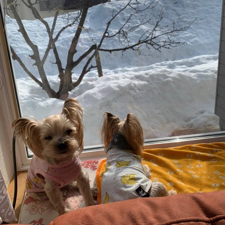 Af7e8d42 81a0 4ad9 a601 c843b1d41f89 1616147854115