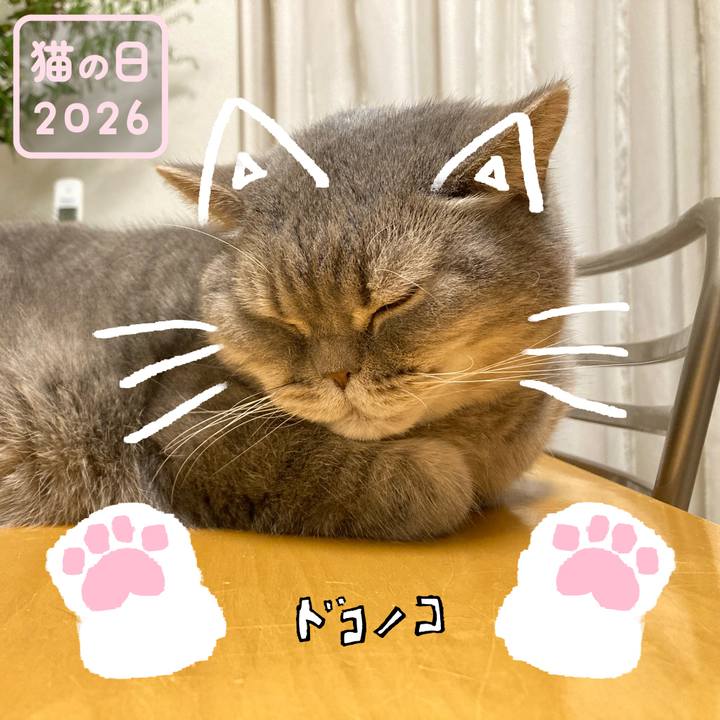 Af7e9377 b4f8 441a 9782 d6acfe364972 1771710808710