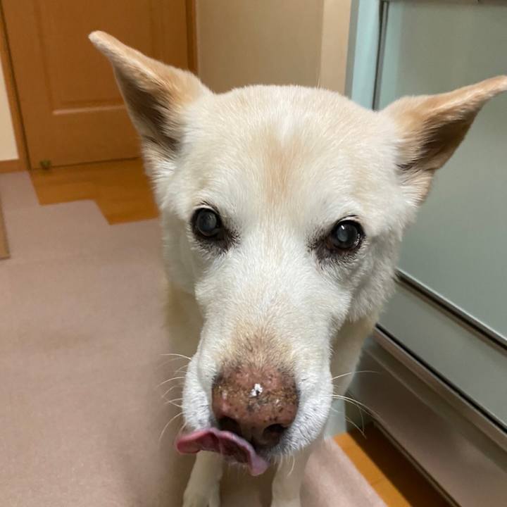 Af7ead54 514a 4509 a3da 887b092832cb 1644761459793