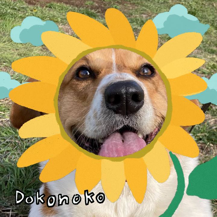 Af7ead71 fb7d 4cb2 af25 790b6a901400 1723512651347