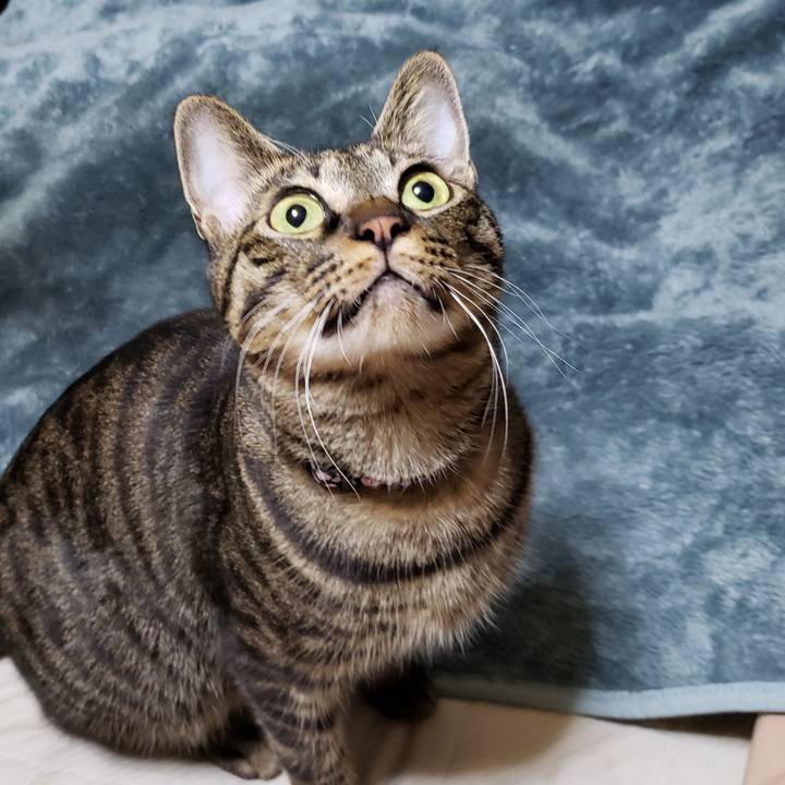 Af7f13dc 8b9c 4d30 a7ac b03698ce3c23 1573649288388