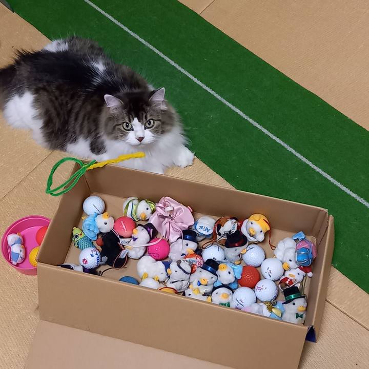 Af7f1515 c141 42b0 a106 d14c7350dcfb 1630227142909