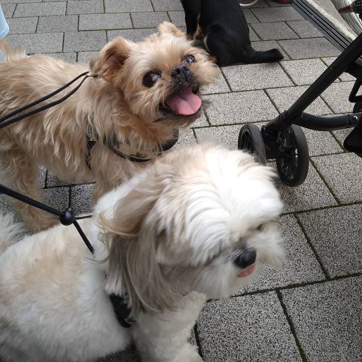 Af7f43c9 1173 42de 9585 c9aaea80f0d7 1653229395804