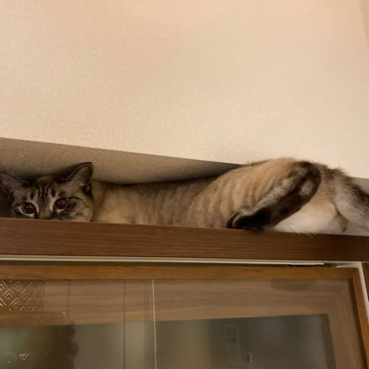 Af7f9e95 cee3 44c2 807f 5131a9e61bf5 1748004241266