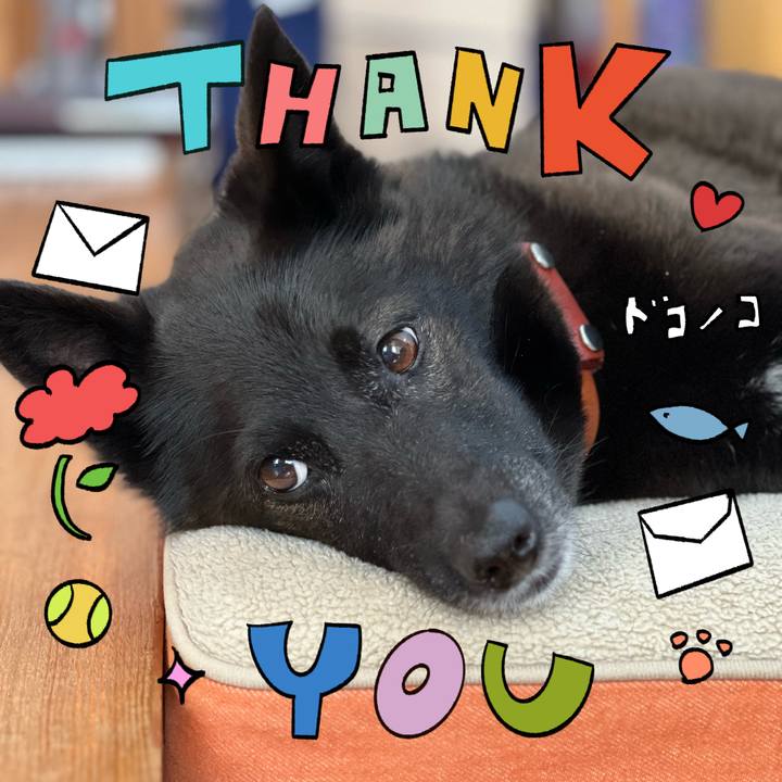 Af7fe517 d23a 44ae 9325 baacd459a01f 1715378303201