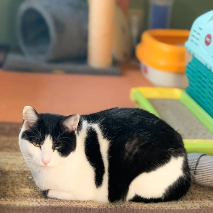 Af800d0b fb56 4d55 8ee6 67733cc3040f 1580002430750