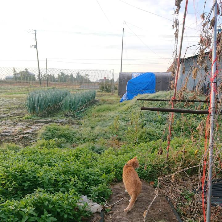 Af8035dc e0cb 4adb 80e7 5ab15f9c512f 1573095347671