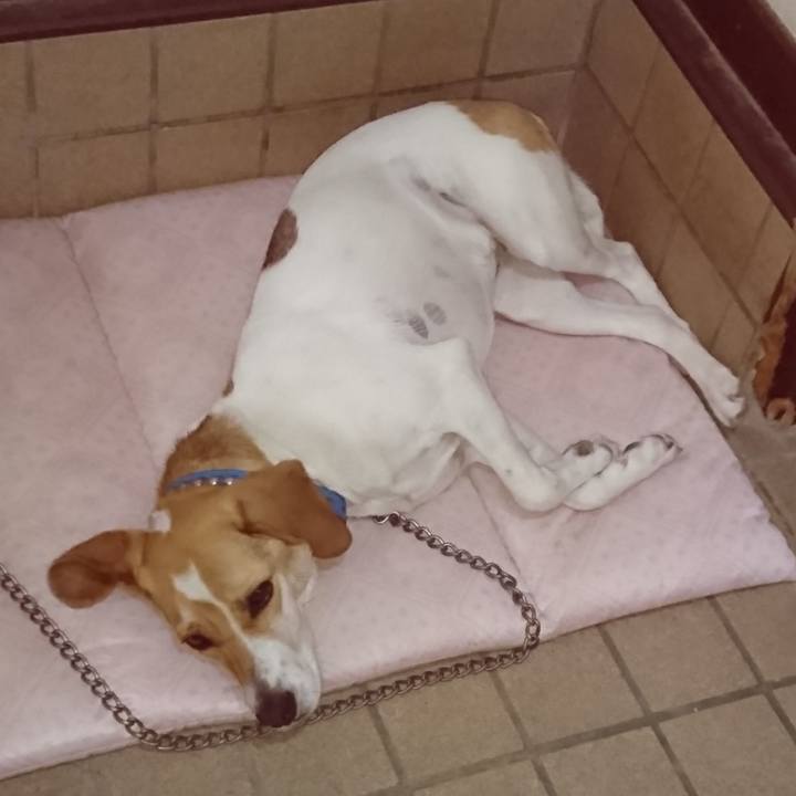 Af80621a 2eaf 47d3 92fc 0f67b5854dcb 1560263651912