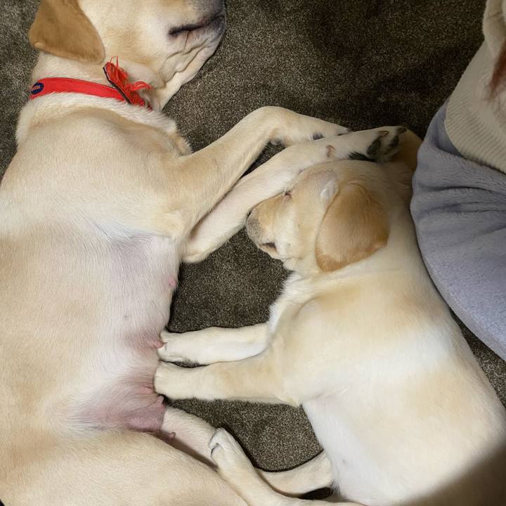 Af80a99d 4c18 4546 b48e d45e3cc06500 1612776375680