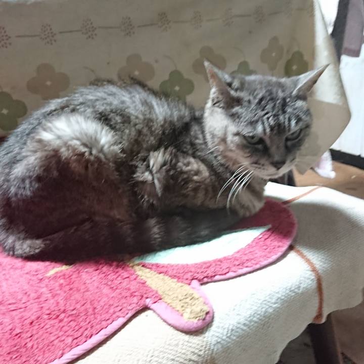 Af80d267 d703 4dee 84d4 c466f39a2c15 1568714477513