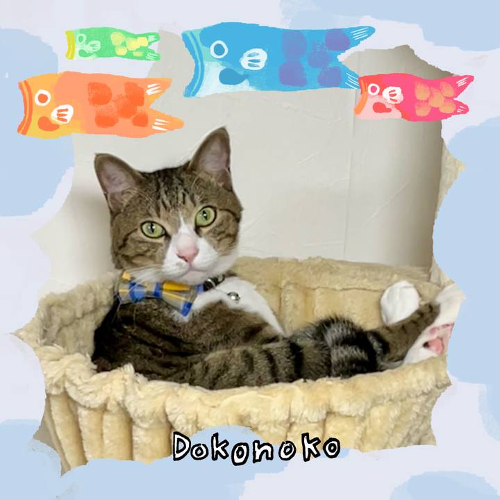 Af80daf3 78d4 4e78 9259 4b079bd733ad 1749645127413