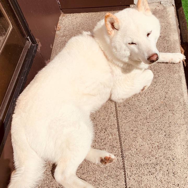 Af80e098 8097 4428 aea1 1a5b7b9993b7 1587101903849