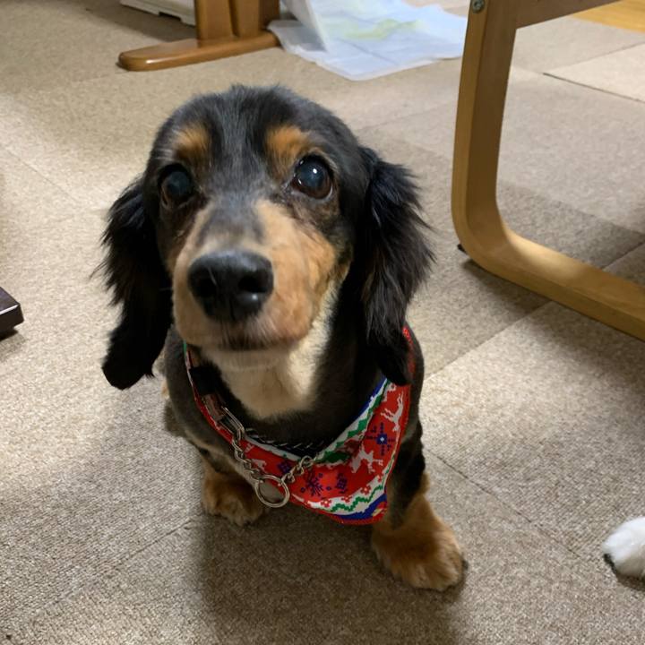 Af80fee2 4db5 42df 834a aaa8ea860ba3 1607983542919