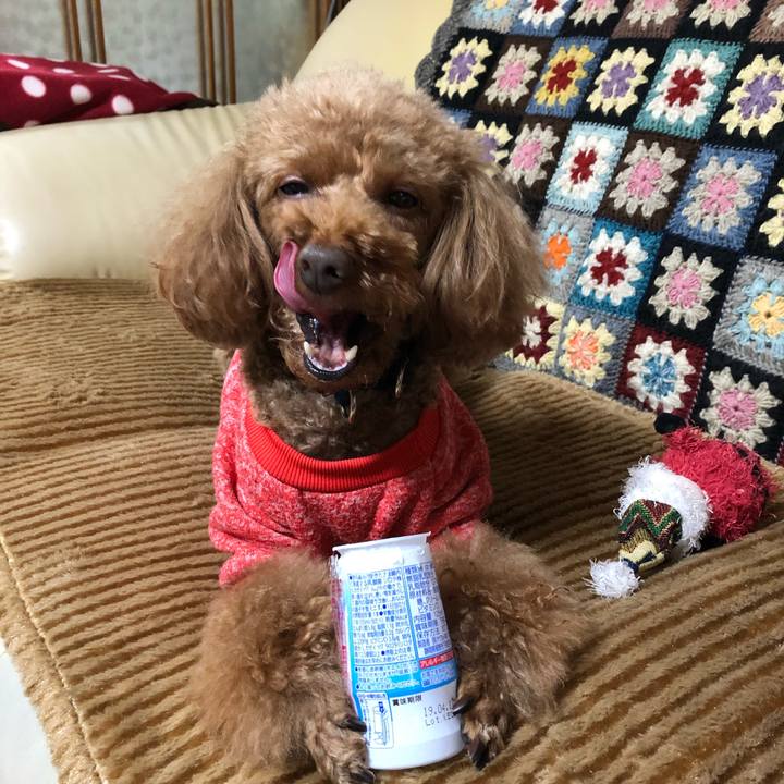 Af8108f4 24eb 4f03 a55d fce61749b884 1554118289166