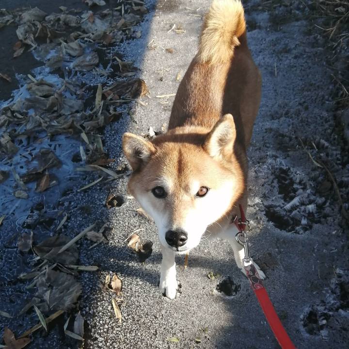 Af8111e3 06ba 4333 84cf bc8da7faed1a 1639790681982