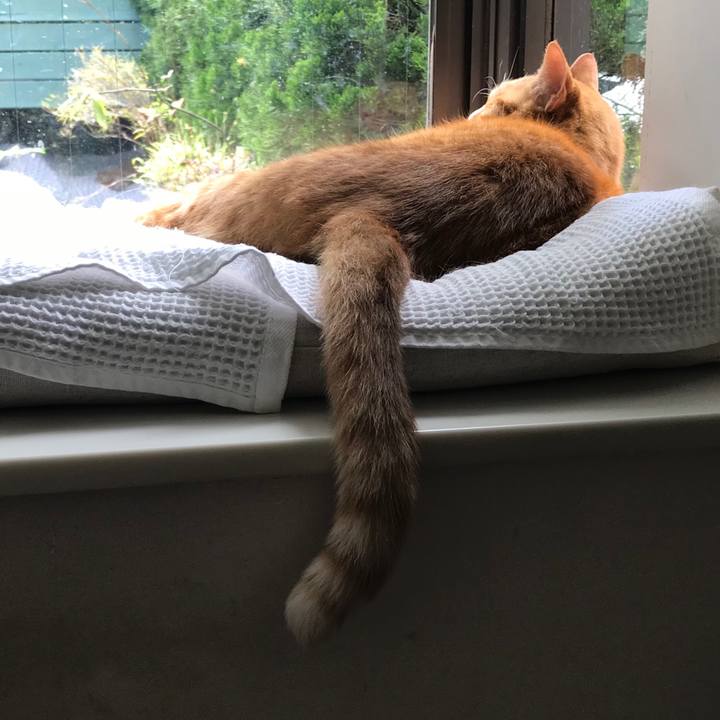 Af8127ed d85b 4cb0 9ceb a62e1b637634 1524715415256