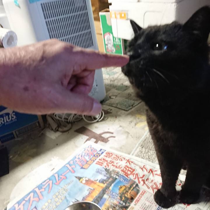 Af813de7 25cd 403c b465 ff6927ccd5df 1653993409245