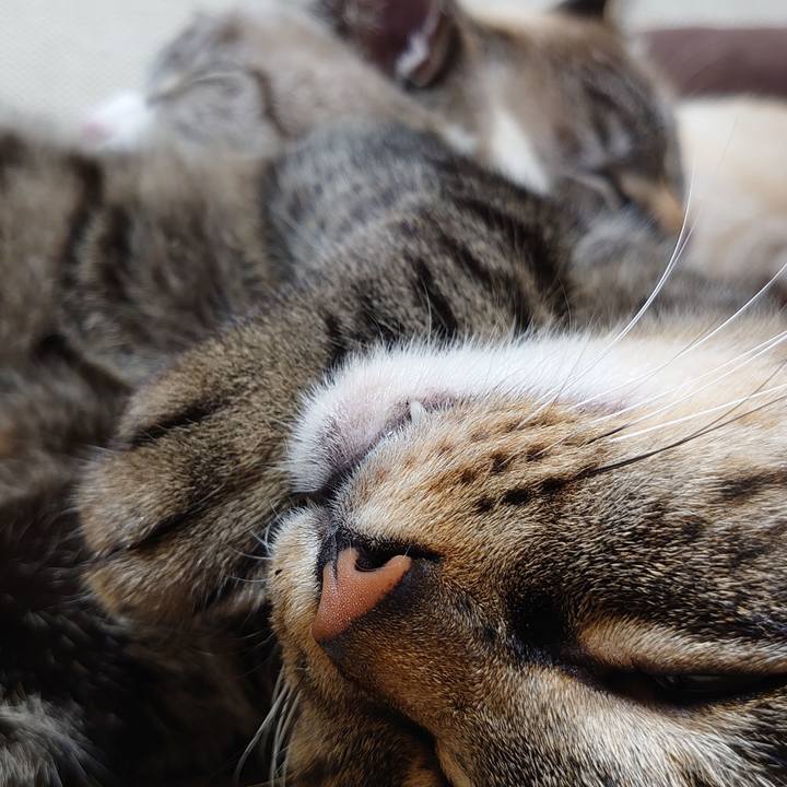 Af814bd0 2064 483a 94f8 96512fdb4543 1635081502581