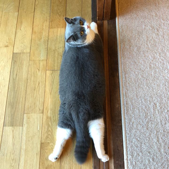 Af8194d1 bdf0 464c b8de 814b97665b29 1570325228302