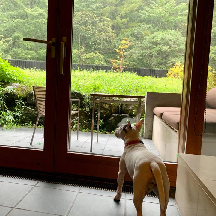 Af81b933 04f3 4398 9317 1d2c011ef37c 1601787342233