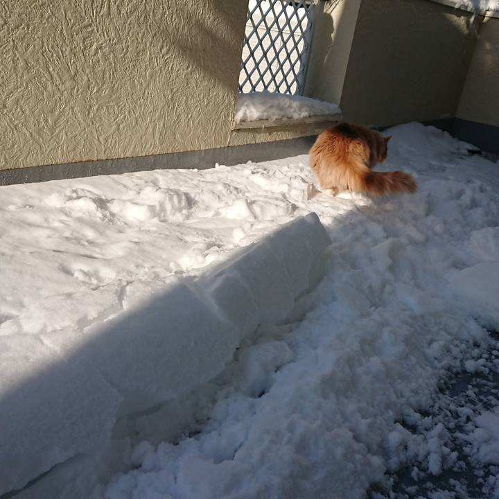 Af81c645 b664 421d 9331 eecb8b11cbd7 1516673440424