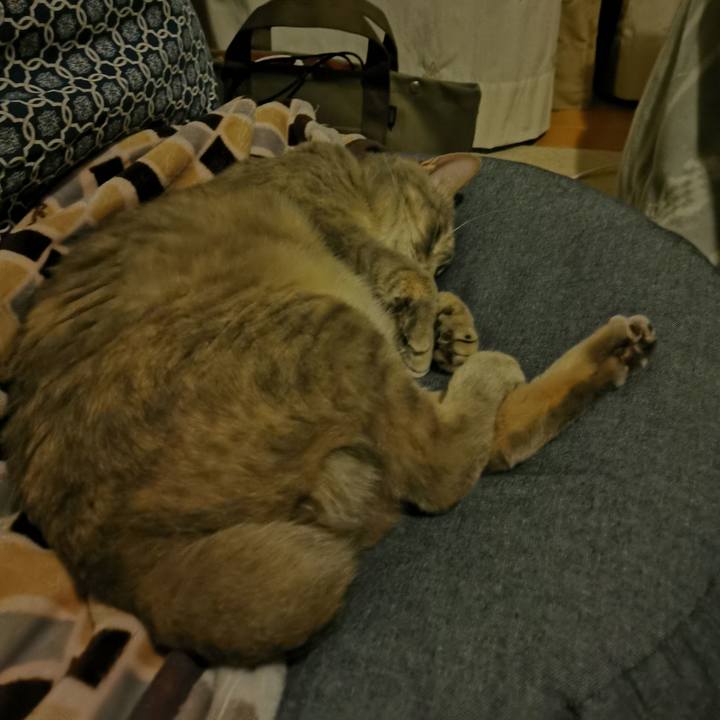 Af81f758 47f8 4c1f a1c8 2a3c37da3104 1647272034741