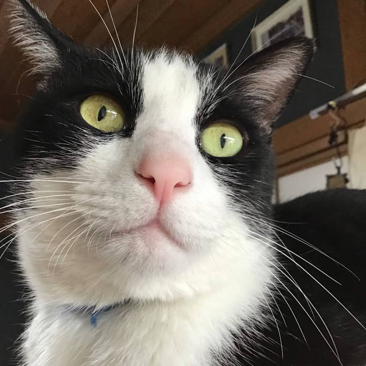 Af820cd3 8751 4380 8ec0 3bd1a803d1fd 1747907212069