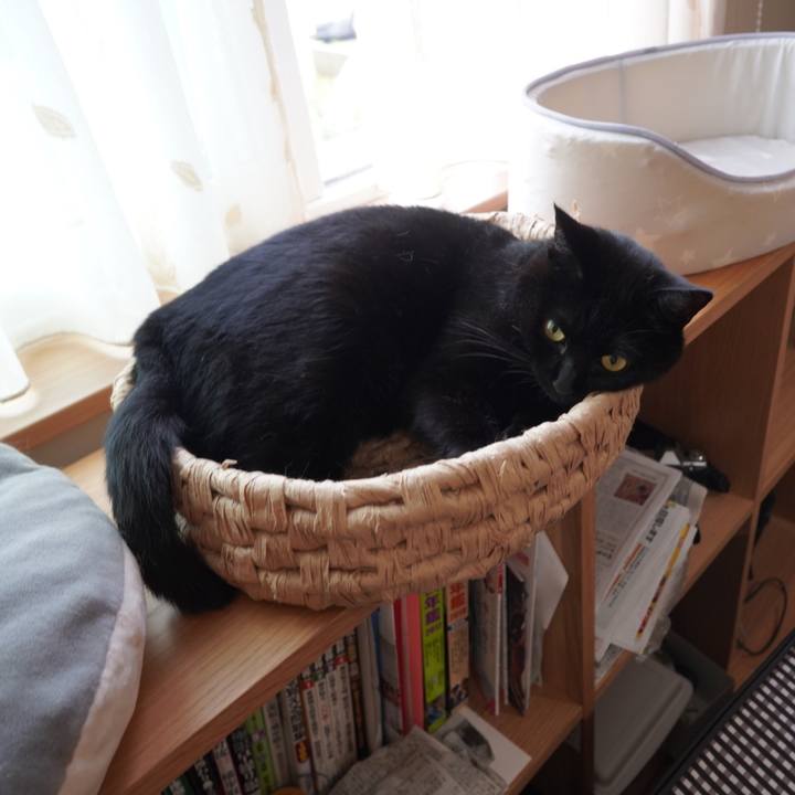 Af821b12 c191 43bd be8d 1f0b689f8c94 1594392079198