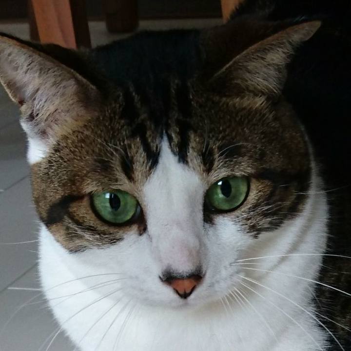 Af82b4dc 27d7 4280 812e 0f10086281a3 1533478908443