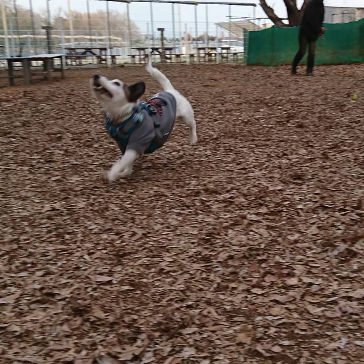 Af82e494 5386 481c 8ad5 eb9925cf9263 1552818035851