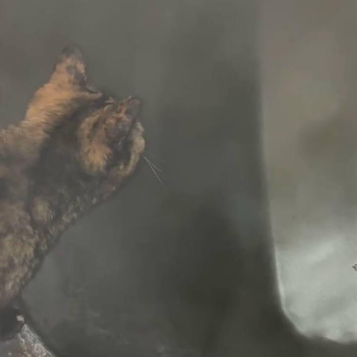 Af834225 9530 4e00 bdb5 723d11a9e99f 1768597617333