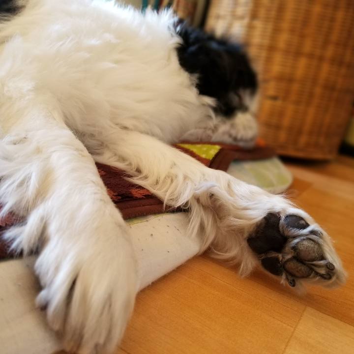 Af836b3f 8158 4a7f afb5 384cef269e43 1581243032188