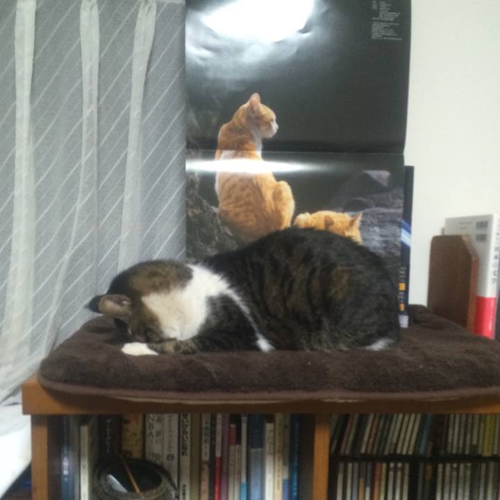 Af837aa9 15a6 4b8b 91b6 ed3cbda2539f 1517323451684