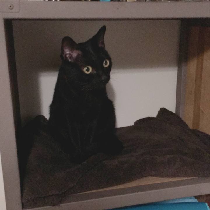 Af837b0e 4d6a 4320 942a fa52ad314383 1537878638674