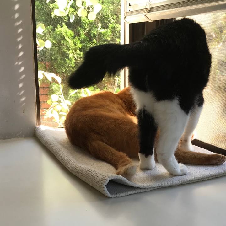 Af837d7c 644b 40bd a4f9 98891acc6818 1573525988120